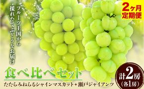 【2025年産先行予約】【2回定期便】食べ比べセット たたらみねらるシャインマスカット+瀬戸ジャイアンツ 各1房 1.3kg以上《9月上旬-10月下旬頃出荷》岡山県 笠岡市 マスカット ぶどう ブドウ 葡萄 フルーツ 果物 たたらみねらる 食べ比べ セット 定期便---Y-06---