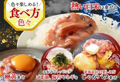 3163. イカの塩辛 500g イカ スルメイカ いか 珍味 海鮮 魚介 送料無料 北海道 弟子屈町