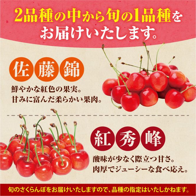【先行予約：2026年6月下旬頃より発送】令和8年産 さくらんぼ【LM～2Lバラ詰め】180g×4【余市ふるさと納税推進センター】_Y160-0001