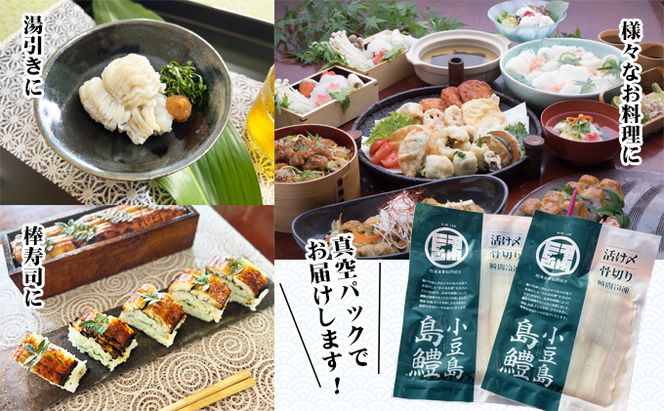 【 小豆島 】テレビで紹介されました！『小豆島島鱧』活け締め骨切り瞬間冷凍 新鮮 海の幸 ハモ