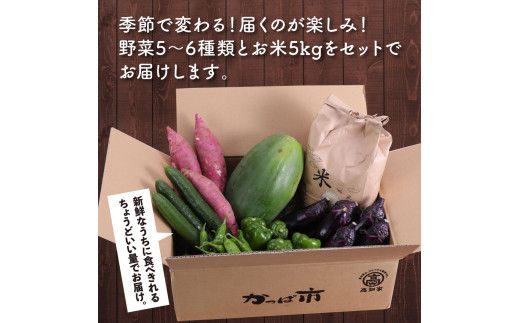 【CF-R7hbk】KPP029　野菜とお米の詰合せ