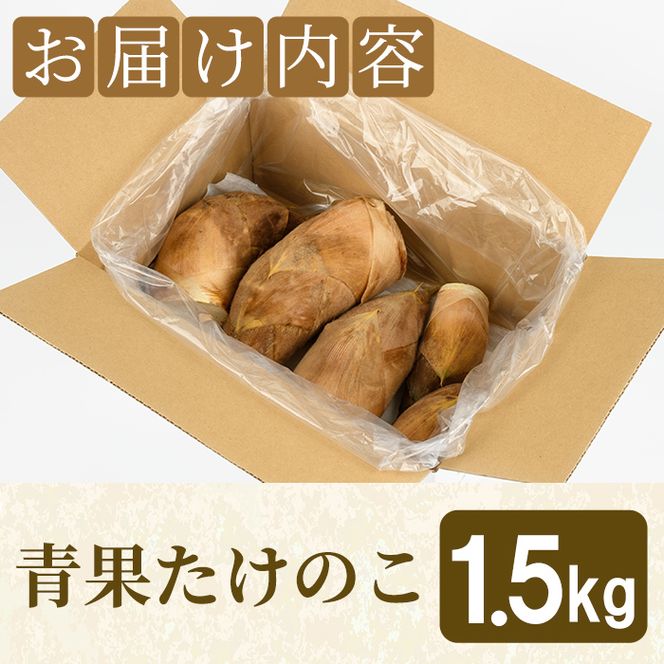 ＜先行予約受付中！2027年2月下旬以降順次発送予定＞ 【平日着】朝堀り青果たけのこ(約1.5kg) 国産 新鮮 タケノコ 青果 竹の子 筍 野菜 春 旬 期間限定 数量限定 【上野食品】akn008-04-A