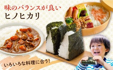 【年内発送】【令和7年産新米】糸島産 ヒノヒカリ 3kg×2袋糸島市 / 平山農園 米 白米 [AXN004] ご飯 お米