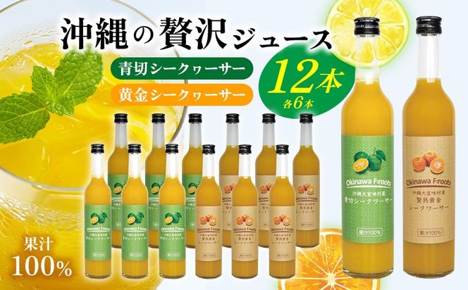 yꌧXzґW[X 12{ ؃V[NT[EV[NT[ e6{ KS1010 ؂   V[N[T[ MǑ΍ mr` Xg[g  W[X ݕ  yY hbVO ʕ  n ΂  gs