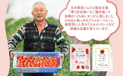 【先行予約】いちご ミルキーベリーセット 450g×1パック ※2026年1月中旬～4月中旬頃に順次発送予定