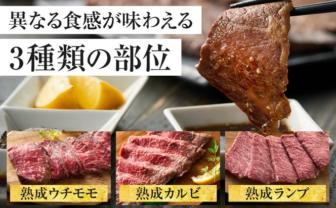 神奈川県産和牛 阿夫利牛のエイジングビーフ 3種類食べ比べセット　450g（2人前）【 牛肉 和牛 神奈川県 小田原市 】 142069_GV006
