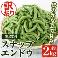 ＜先行予約受付中！2026年12月中旬以降順次発送予定＞訳あり！鹿児島県産 スナップエンドウ(約2kg) 国産 野菜 スナップエンドウ スナップえんどう おつまみ サラダ 炒め物 訳アリ サイズ混合【松永青果】akn053-07