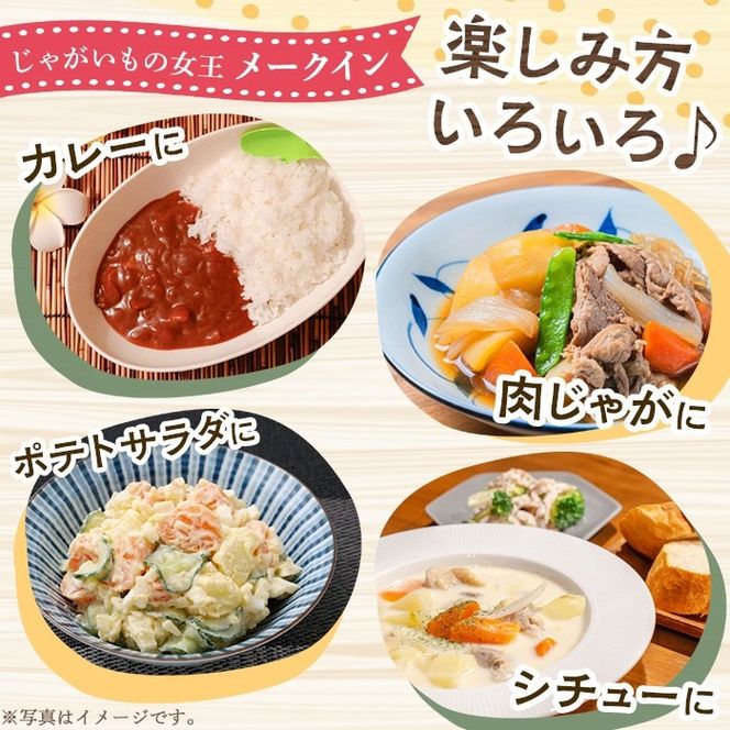 ＜先行予約受付中！2027年5月下旬以降順次発送予定＞ 訳あり！じゃがいも「メークイン」(約20kg) じゃがいも ジャガイモ 芋 国産 野菜 期間限定 数量限定 肉じゃが ポテトサラダ カレー シチュー 【古田果樹園】akn093-08