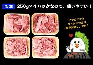 【ふるさと納税】但馬牛 がっせぇ盛り（焼肉用・1kg）250g×4パック 小分け 肉 牛肉 お肉 赤身 バラ バラ肉 ばら 国産 黒毛和牛 和牛 焼肉 焼き肉 BBQ お取り寄せ 冷凍 兵庫県 新温泉町 送料無料