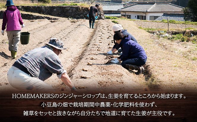 【 小豆島 】小豆島ジンジャーシロップ3本セット 果実飲料 ジュース 