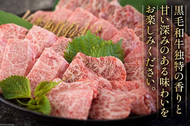 黒毛和牛 特選 カルビ 焼肉 500g [アグリ産業匠泰 宮崎県 美郷町 31be0024] 牛肉 炒め BBQ バーベキュー キャンプ 普段使い 調理 おかず 料理 国産 送料無料 パック 厳選 カルビ丼 クッパ 焼肉丼 スープ チャーハン 生春巻き マリネ 照り焼き 甘辛炒め チンジャオロース 青椒肉絲