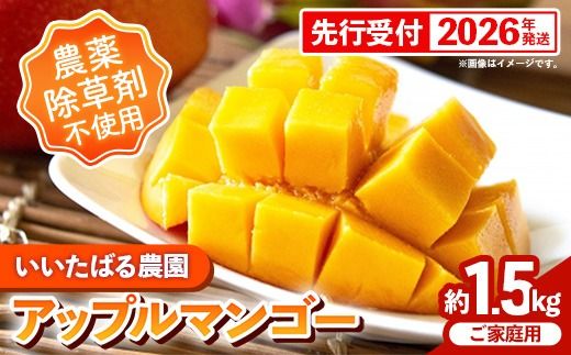 yꌧdzystzy2026Nz΂_̉ƒpAbv}S[1.5kg - ƒp s\ ꌧY Yn _sgp ܕsgp 썑t[c {̖o }S[ IXX ꌧ d