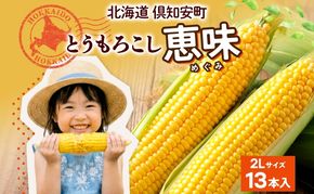 朝もぎ イエロー とうもろこし 恵味 2Lサイズ 13本 約5kg 大きめ 夏野菜 とうきび 旬 新鮮 野菜 トウモロコシ 甘い ギフト 産地直送 コーン 産直 グリーンアースファーム 送料無料 北海道 倶知安町