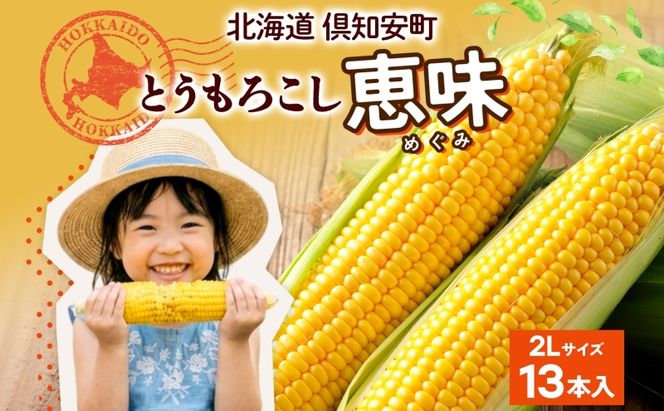 朝もぎ イエロー とうもろこし 恵味 2Lサイズ 13本 約5kg 大きめ 夏野菜 とうきび 旬 新鮮 野菜 トウモロコシ 甘い ギフト 産地直送 コーン 産直 グリーンアースファーム 送料無料 北海道 倶知安町