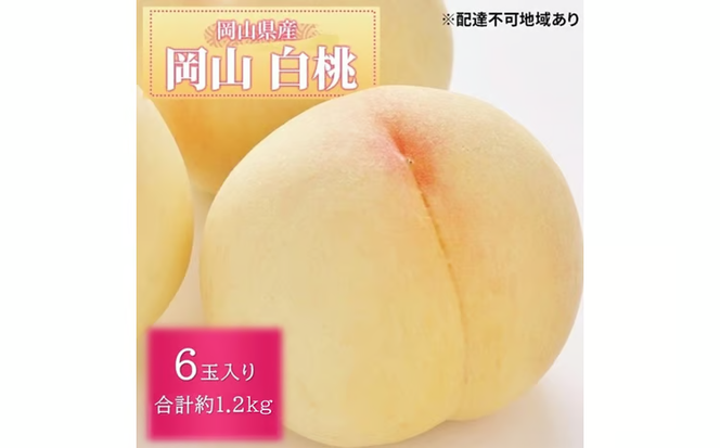 先行予約 晴れの国 岡山のフルーツ 定期便 3回コース 1回目 岡山 白桃6玉 合計約1.2kg／2回目 桃太郎ぶどう２房 合計約1kg／シャインマスカット 2房 合計約1kg