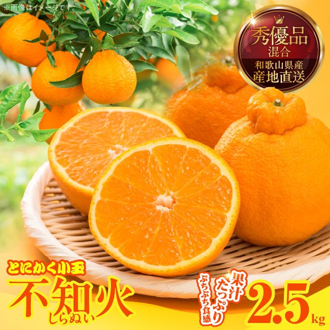 MK1018_不知火 (しらぬい) とにかく小玉 箱込 2.5kg (内容量約2.3kg) 秀品 優品 混合