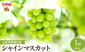 【2026年産】 シャインマスカット 約600g (1房入) 山形県 東根市 hi026-053