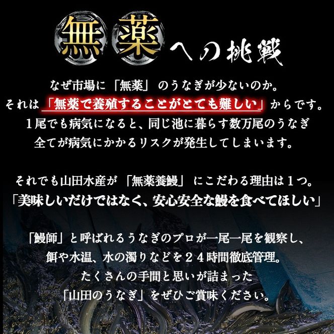 【無薬養鰻】 鹿児島産 山田のうなぎ ＜計960g以上＞ (160g以上×6尾) c6-079