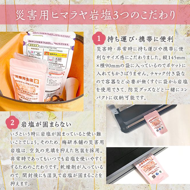 災害用 食塩 ピンク岩塩(小粒×5袋・100g/袋)  ヒマラヤ岩塩 ピンク岩塩 岩塩 塩 食塩 調味料 ミネラル 熱中症対策 災害用 防災グッズ 災害対策 備蓄 【梅研本舗ジャパン】akn047-09