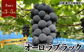 【2026年先行予約】 ぶどう 岡山県産 晴れの国からの 贈り物 オーロラブラック 2kg以上（3房～5房） 《2026年8月下旬-9月中旬出荷》 葡萄 フルーツ 果物 スイーツ 数量限定 期間限定 岡山 里庄町