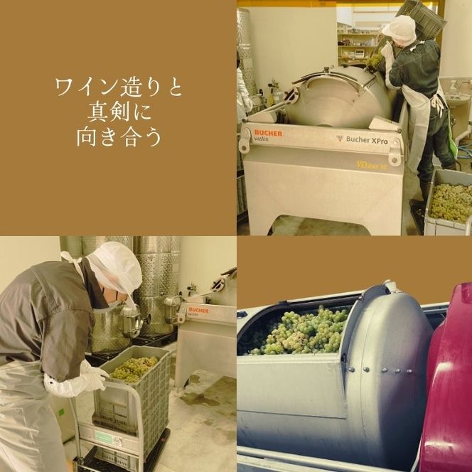 【北海道産ワイン】 限定スパークリングワイン KP”Beginning" 750ml×2本 仁木町産ナイアガラ100%使用 ワイン 白 辛口 スパークリング お酒 シャンパン 
