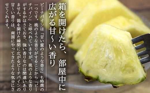 【先行受付】《2026年5月上旬～7月上旬順次発送予定》石垣島産パイナップル（ピーチパイン）3玉入 約2kg（1.7~2.2kg）【産地直送 沖縄県 石垣島 農家直送 パイン フルーツ】TK-10 