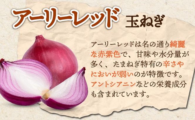 【 2025年 発送 】 先行予約 北海道 玉ねぎ 各2.5kg 計 約 5kg M-L混合 北はやて アーリーレッド タマネギ たまねぎ 玉葱 玉ネギ レッドオニオン オニオン 伊達野菜  野菜 新鮮 採れたて 産地直送 木須農園 送料無料