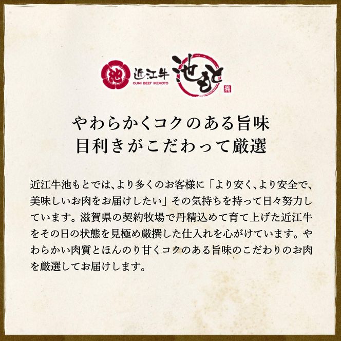 【4等級以上】【近江牛　ウデ】すき焼・しゃぶしゃぶ用【500ｇ】【BI02W】