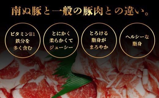 石垣島産アグ―豚（南ぬ豚）しゃぶしゃぶ セット600g 【 バラ肉 ロース 肩ロース 豚肉 豚しゃぶ 南ぬ豚 アグー豚 しゃぶしゃぶ 石垣 石垣島 沖縄 八重山 】E-6-1