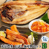 13-362 丸富農水お試し海産物セットＢ