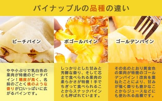 【予約受付】【定期便】石垣島産 パイナップル 3回 定期 3種 計6玉【2026年 5月頃・6月・7月頃お届け】 ふるさと納税 パイナップル パイン フルーツ 果物 果実 定期便 定期 3回 3か月 沖縄県 石垣市 石垣島 産地直送 ふるさと 人気 送料無料 KP-18