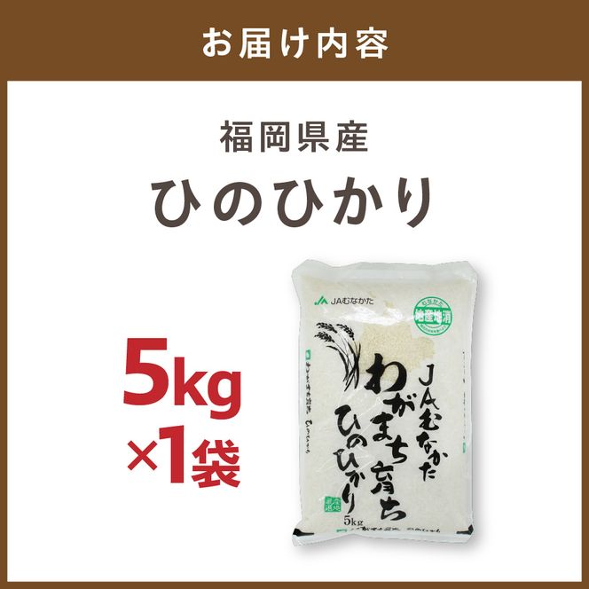 令和7年産  「ひのひかり」5kg【ほたるの里】_HA1786