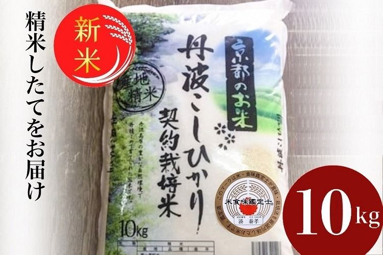 予約 令和7年産 新米 京都丹波米 こしひかり10kg● 米 白米 ※精米したてをお届け コシヒカリ ※北海道・沖縄・離島への配送不可 ※2025年9月中旬以降順次発送