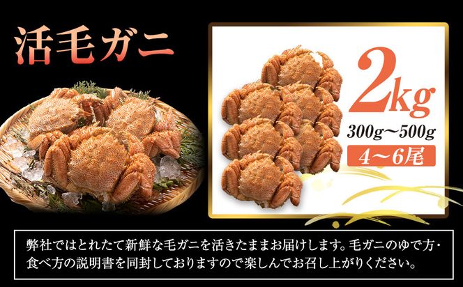  【先行予約/2026年4月発送開始】活毛ガニ　２kg　300g～500g　４～６尾 016942_AH270