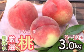 ＜2026年発送＞朝採れ！厳選！山梨県産 桃3Kｇ 8～12玉 SWCM001-3kg