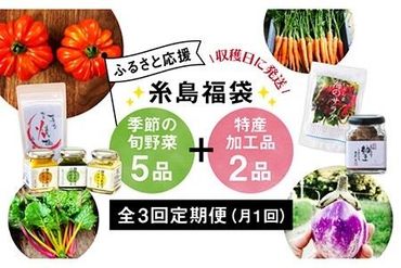 [ 全3回 定期便 ]朝採り オーガニック 旬 野菜 お任せ 5品 + 糸島産 大ヒット 特産 加工品 2品 のセット[糸島][オーガニックナガミツファーム]