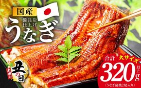 kgp0129d 【土用の丑の日】国産うなぎ蒲焼 320g以上（大サイズ2尾）【レンチン 湯煎対応 簡単調理 鰻 ウナギ 人気総菜 日本産 特別規格】