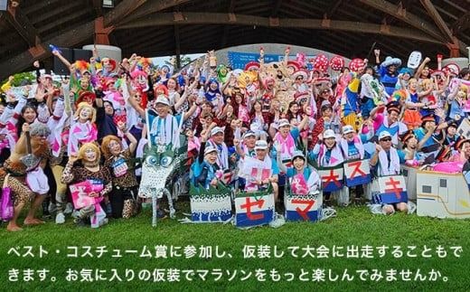 第22回 小布施見にマラソン 出走権 1名分 2025 ［小布施見にマラソン実行委員会］ マラソン大会 ハーフマラソン 出走券 チケット スポーツ 仮装 コスチューム 参加券 大会 期間限定 送料無料 長野県 小布施町