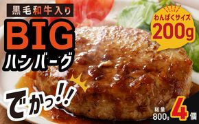 005A662 【特別規格】黒毛和牛入り BIGハンバーグ 200g×4個 お試し
