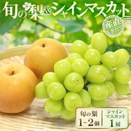 シャインマスカット1房＆旬の梨 食べ比べセット(シャインマスカット 梨 豊水 新高 新興 秋月 ぶどう 葡萄 フルーツ 果物 旬 食べ比べ 詰め合わせ 産地直送)