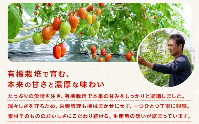 ［2026年5月出荷分］和歌山産ミニトマト「アイコトマト」約1kg（S・Mサイズおまかせ）［TM232］ 303446_XH92279VC05