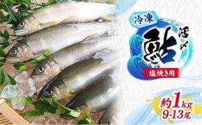 【先行予約】塩焼用 活〆冷凍あゆ 約1kg（9尾～13尾）| 鮎 あゆ アユ 魚介 魚 川魚 塩焼き 鮎めし 雑炊 おかず 簡単 お手軽  岐阜県 瑞穂市 ※北海道・沖縄・離島への配送不可 ※2026年7月上旬～9月中旬頃に順次発送予定