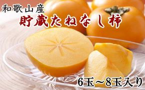 和歌山県産 貯蔵たねなし柿化粧箱入り（6玉～8玉入り） ※2026年12月中旬～2027年1月上旬頃に順次発送 / 果物 フルーツ かき 旬【tec941A】