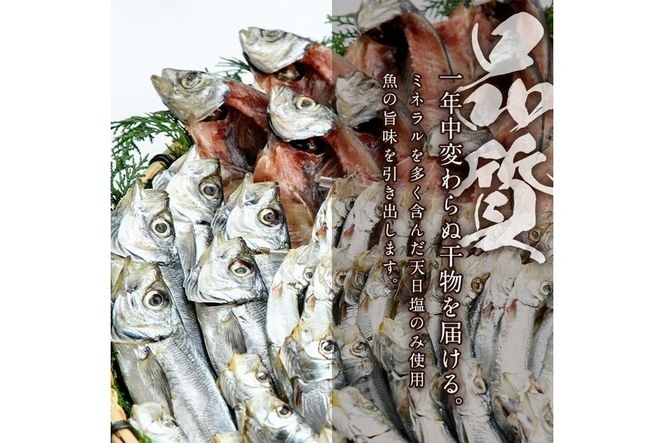 干物三昧セット (合計35尾以上・6種) 干物 あじ アジ 鯵 かます カマス ししゃも シシャモ うるめいわし いわし 丸干し 開き 魚 海鮮 冷凍 詰め合わせ セット 大分県 佐伯市【AP80】【 (株)ヤマジン】