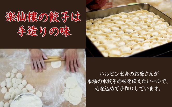 【楽仙樓】水餃子(10個入り) 2袋 [ 京都 本格中華 中華料理 手作り 名物 人気 おすすめ 点心 お惣菜 ニンニク不使用 グルメ ギフト プレゼント お取り寄せ 通販 送料無料 ふるさと納税 ] 261009_B-XL02