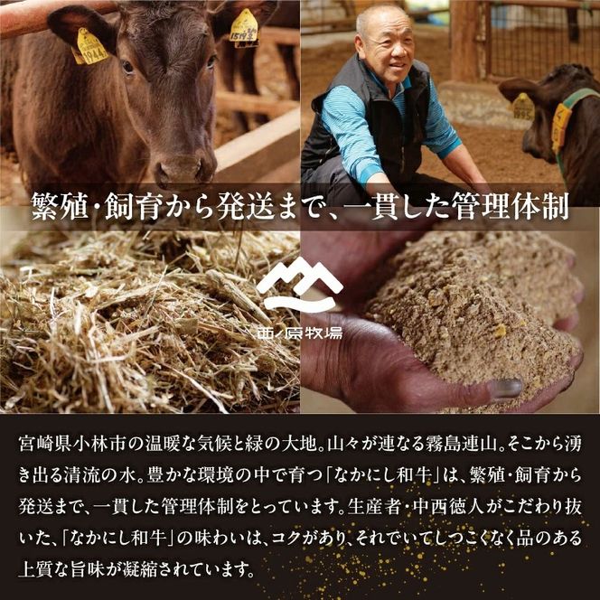 【4等級以上】なかにしプレミアム切り落とし<約800g：西ノ原牧場>（国産 牛肉 国産牛 和牛 黒毛和牛 赤身 すき焼き 切り落とし 薄切り スライス）