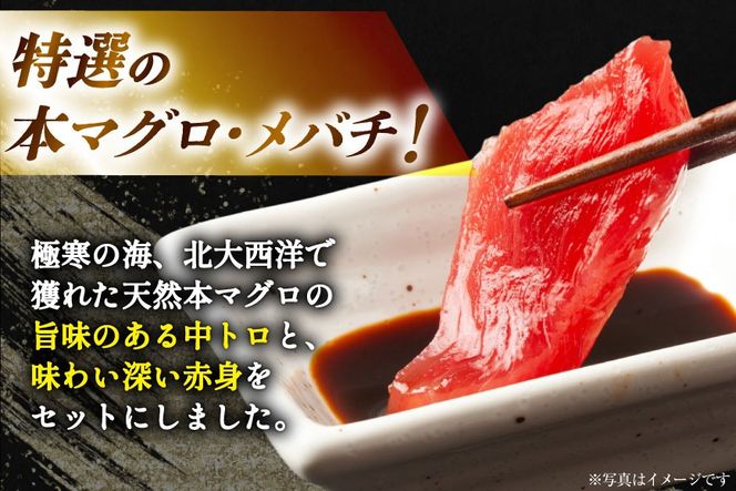 本マグロ・メバチセット [川印　村田漁業 宮城県 気仙沼市 20563739] 魚 海鮮 魚介 まぐろ 鮪 メバチマグロ 刺身 本マグロ