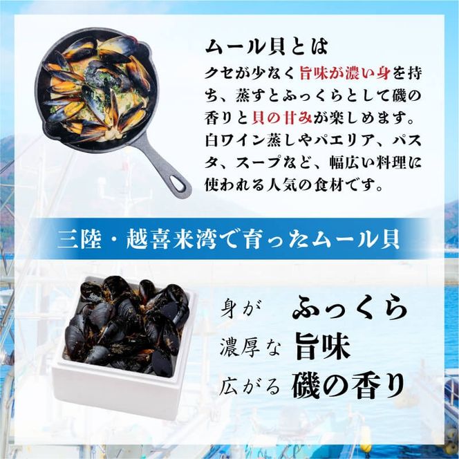 【8月～12月発送】 国産 活ムール貝 1kg ムール貝 ムラサキ貝 殻付き 新鮮 産地直送 旬 三陸 岩手県 大船渡市 [nakano008]