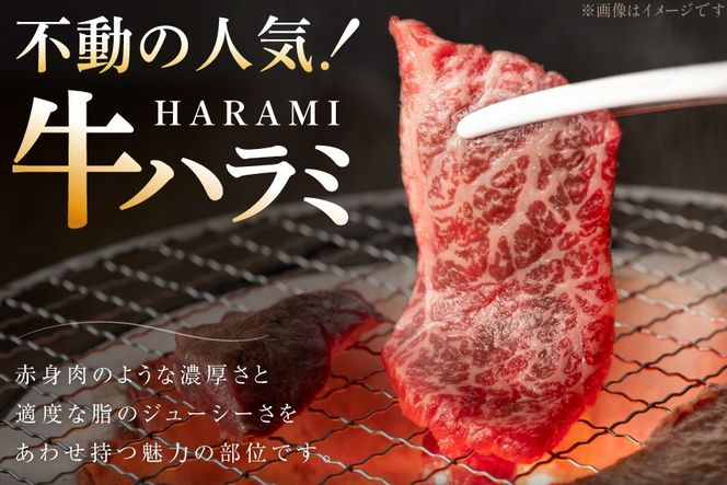 牛肉 味付き 牛ハラミ 300g 3P 計900g [からくわ精肉店 宮城県 気仙沼市 20566103] 牛 肉 焼肉 ハラミ 熟成手造りたれ 小分けパック 小分け 冷凍