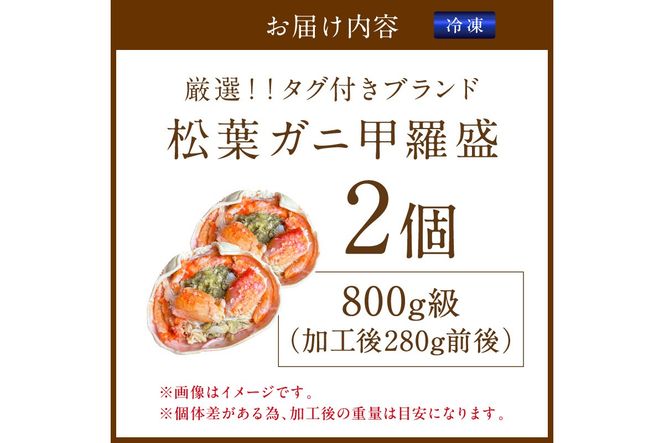 【厳選！タグ付きブランド蟹】松葉ガニ甲羅盛 2個（800g級）　YK00567